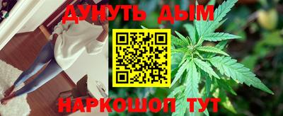 прущие грибы Краснознаменск
