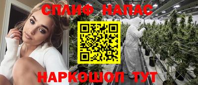 прущие грибы Краснознаменск