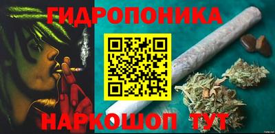 прущие грибы Краснознаменск