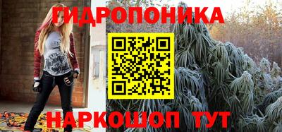 прущие грибы Краснознаменск