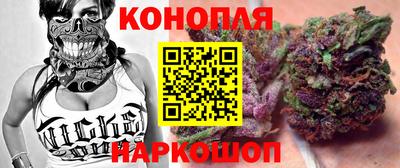 прущие грибы Краснознаменск