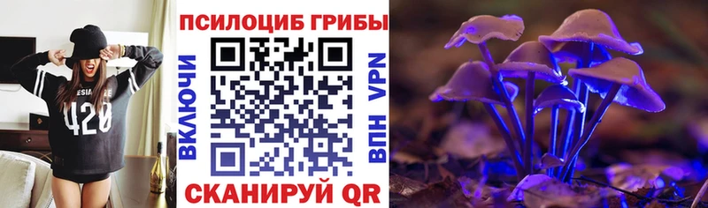 Псилоцибиновые грибы MAGIC MUSHROOMS  kraken зеркало  Феодосия 